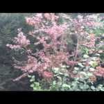 Video thumbnail for youtube video Test Asus Transformer Pad Infinity (TF700T) - i Love Tablette Tactile