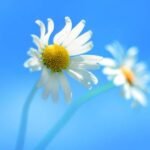 Microsoft a terminé la version Windows 8 RTM Microsoft a terminé la version Windows 8 RTM 1