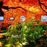 Top 5 des applications gratuites Android Novembre 2012 Top 5 des applications gratuites Android Novembre 2012 6
