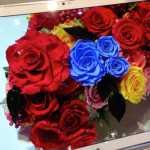 Un prototype de tablette à écran 4k chez Panasonic Un prototype de tablette à écran 4k chez Panasonic 3